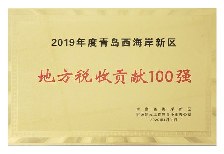 2019 年 地方税收贡献100强